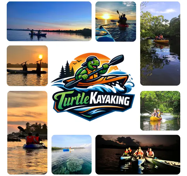 About Turtle Kayaking - Havelock's trusted kayaking experts with 5000+ happy guests and certified guides
