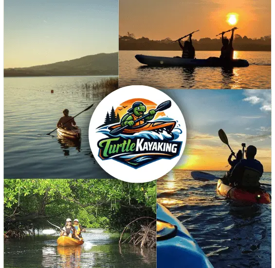 Eco-friendly kayaking through mangroves in Havelock Island, Andaman